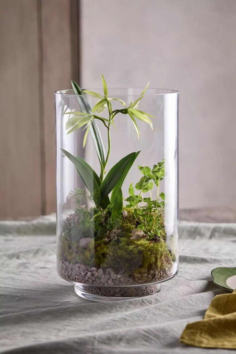 Planters | Glass Cylinder Terrarium Assorted Garden Assorted