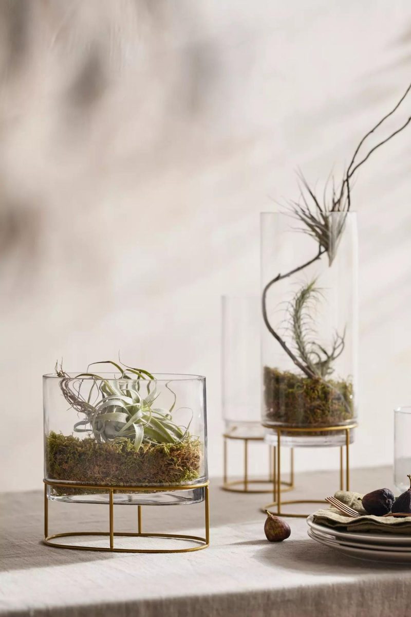 Planters | Glass + Gold Stand Terrarium Assorted Garden Assorted