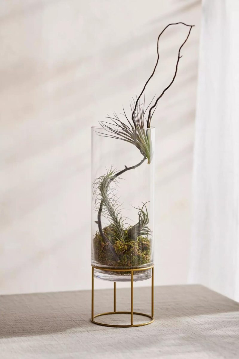 Planters | Glass + Gold Stand Terrarium Assorted Garden Assorted