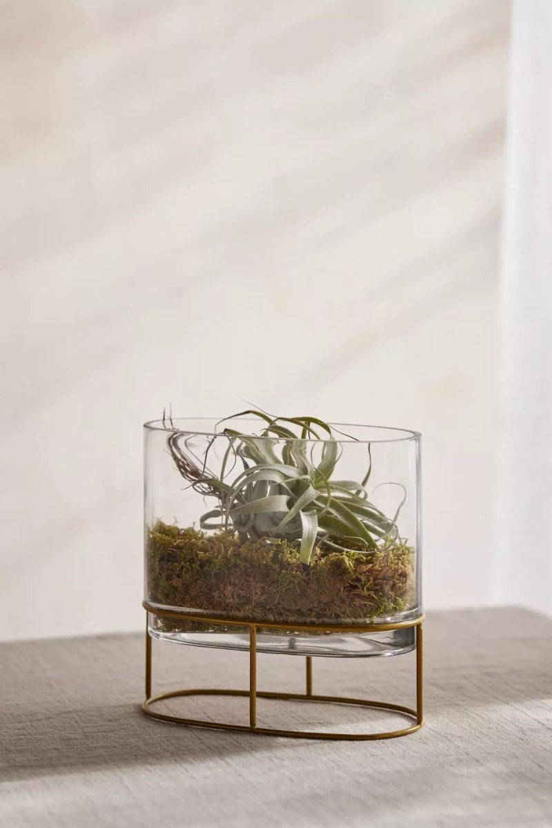 Planters | Glass + Gold Stand Terrarium Assorted Garden Assorted