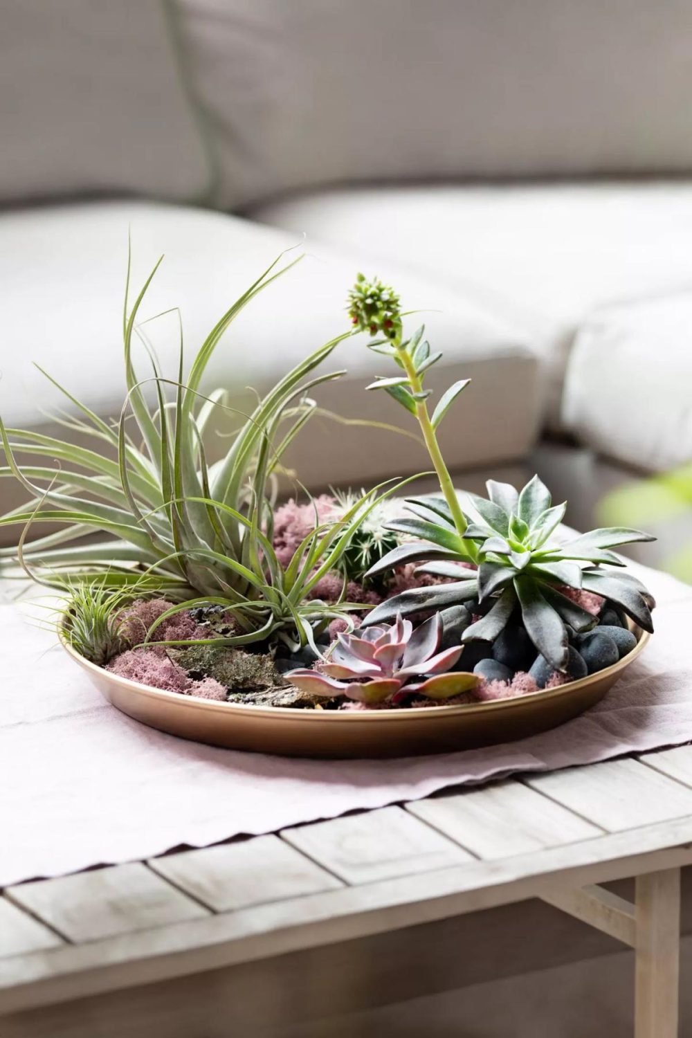 Planters | Habit + Form Circle Tray Yellow Garden Planters