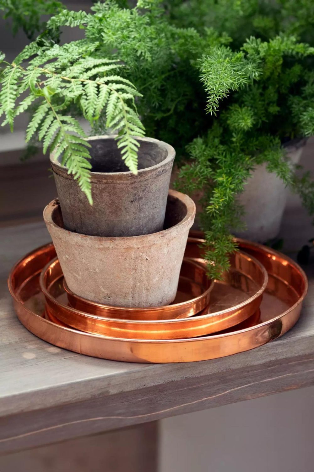 Planters | Habit + Form Solid Copper Circle Tray Copper Garden Copper