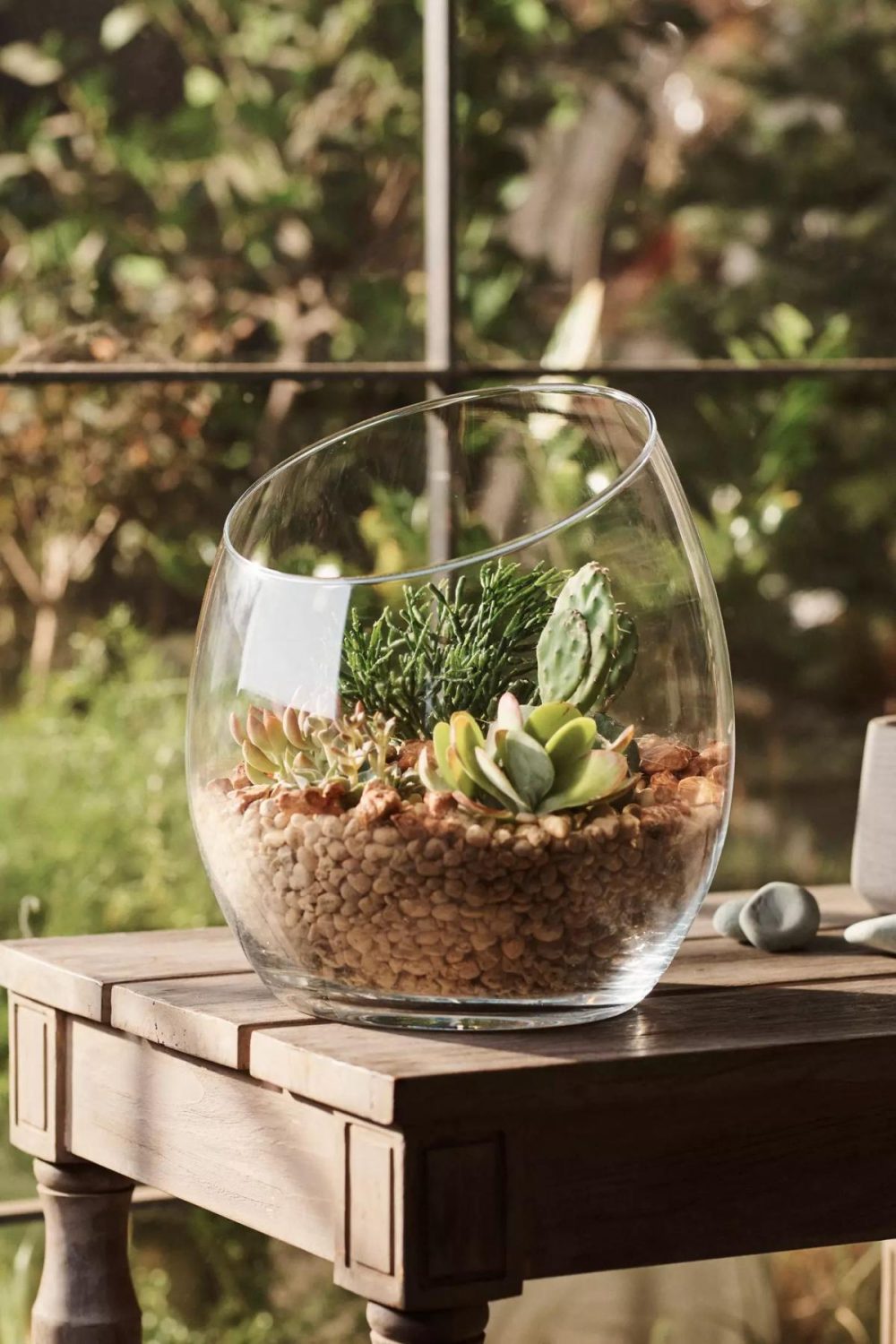 Planters | Half Cut Glass Terrarium Assorted Garden Assorted