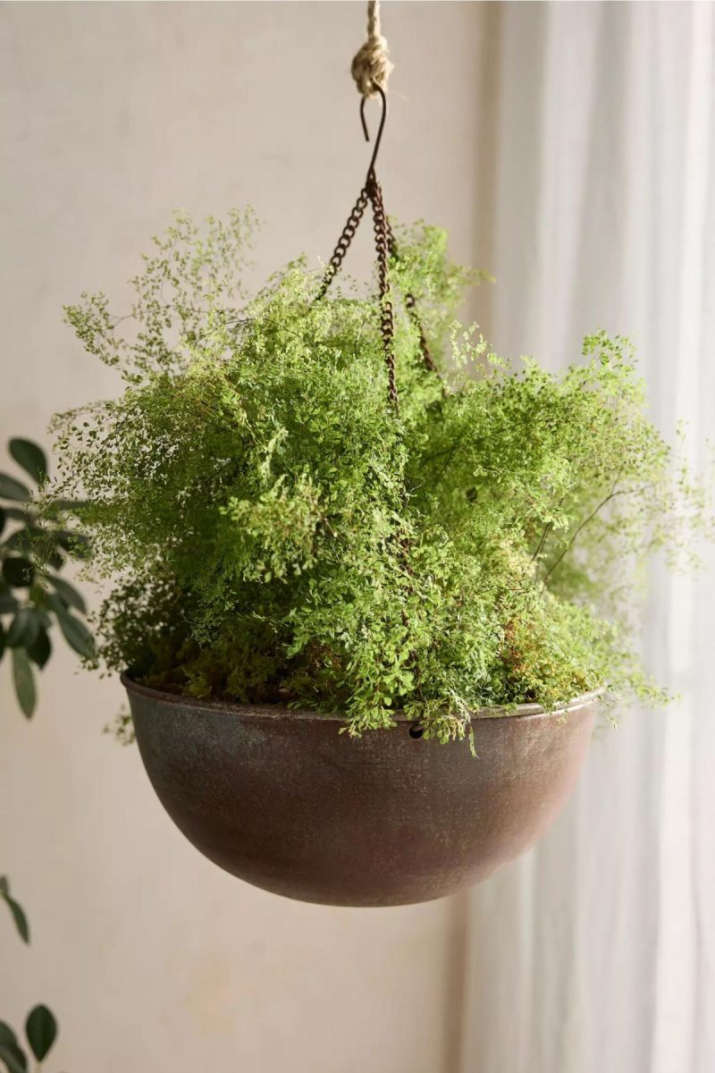 Planters | Hanging Iron Bowl Planter Natural Garden Natural