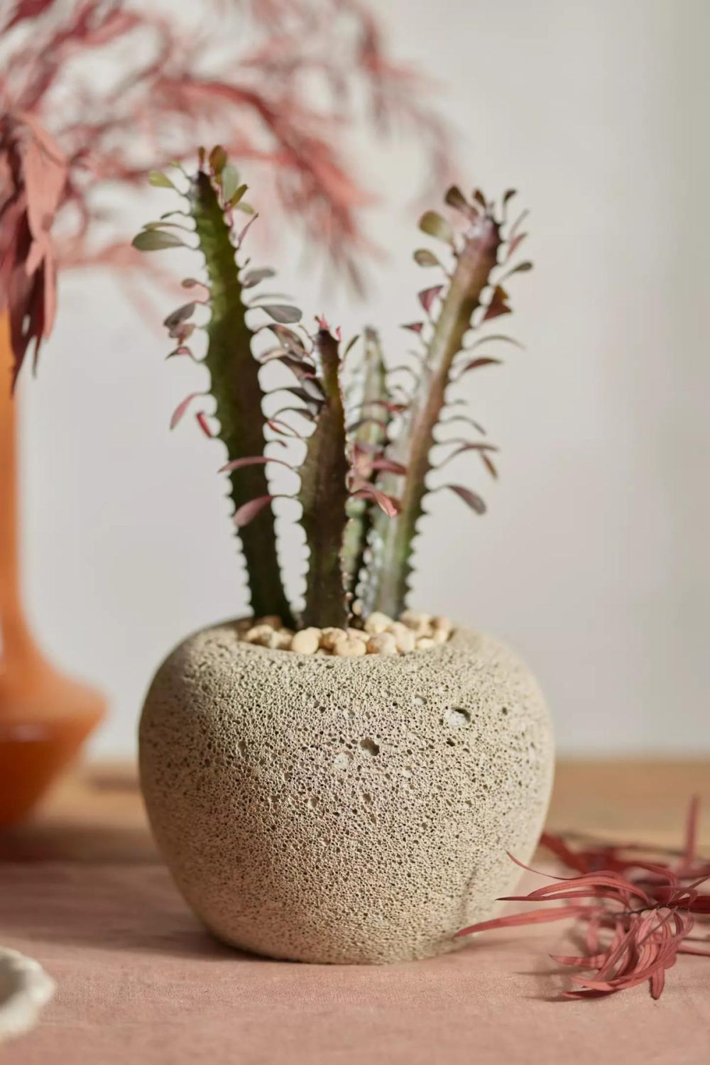 Planters | Lava Concrete Low Egg Planter Natural Garden Natural