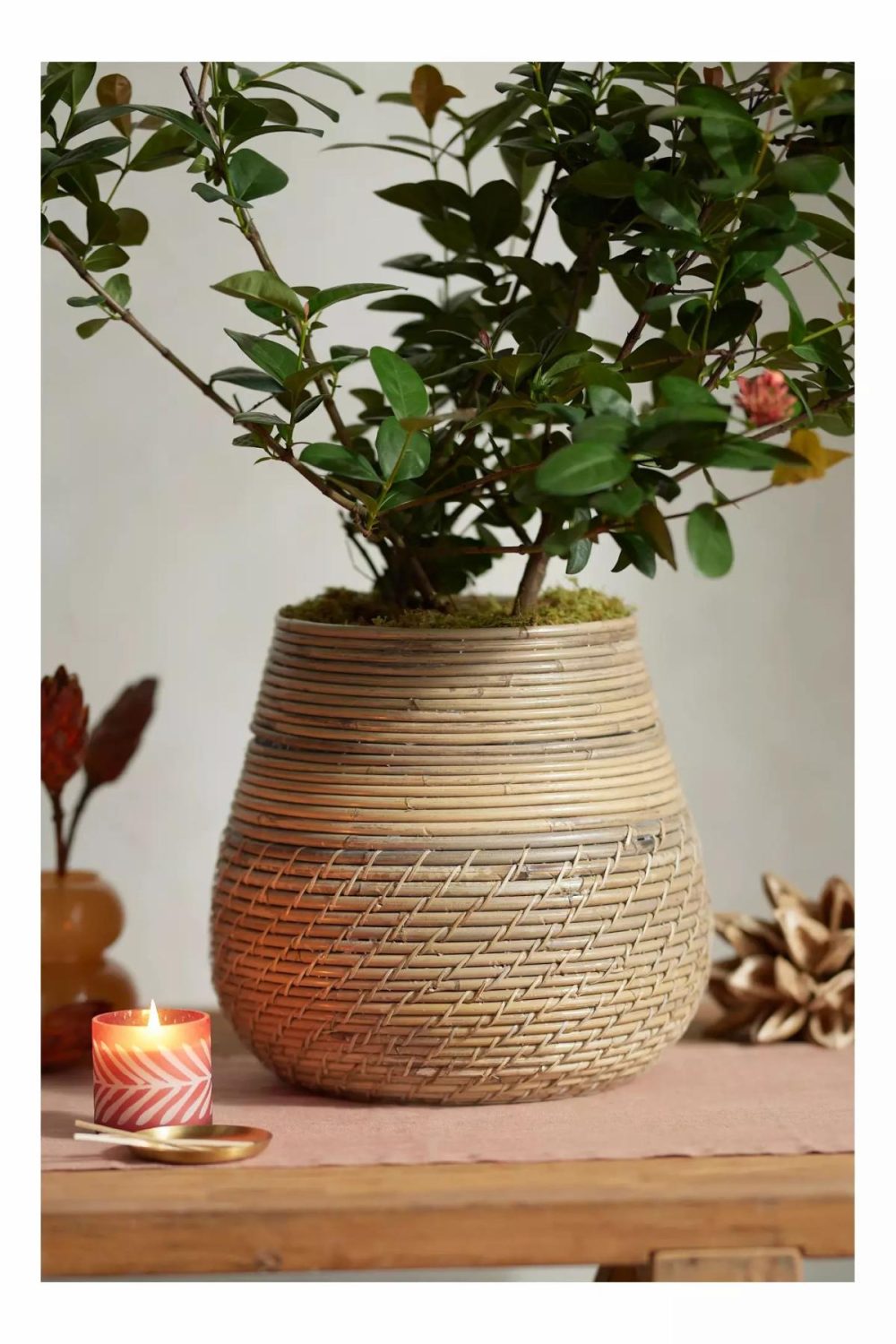 Planters | Lombok Droplet Basket Planter Natural Garden Natural