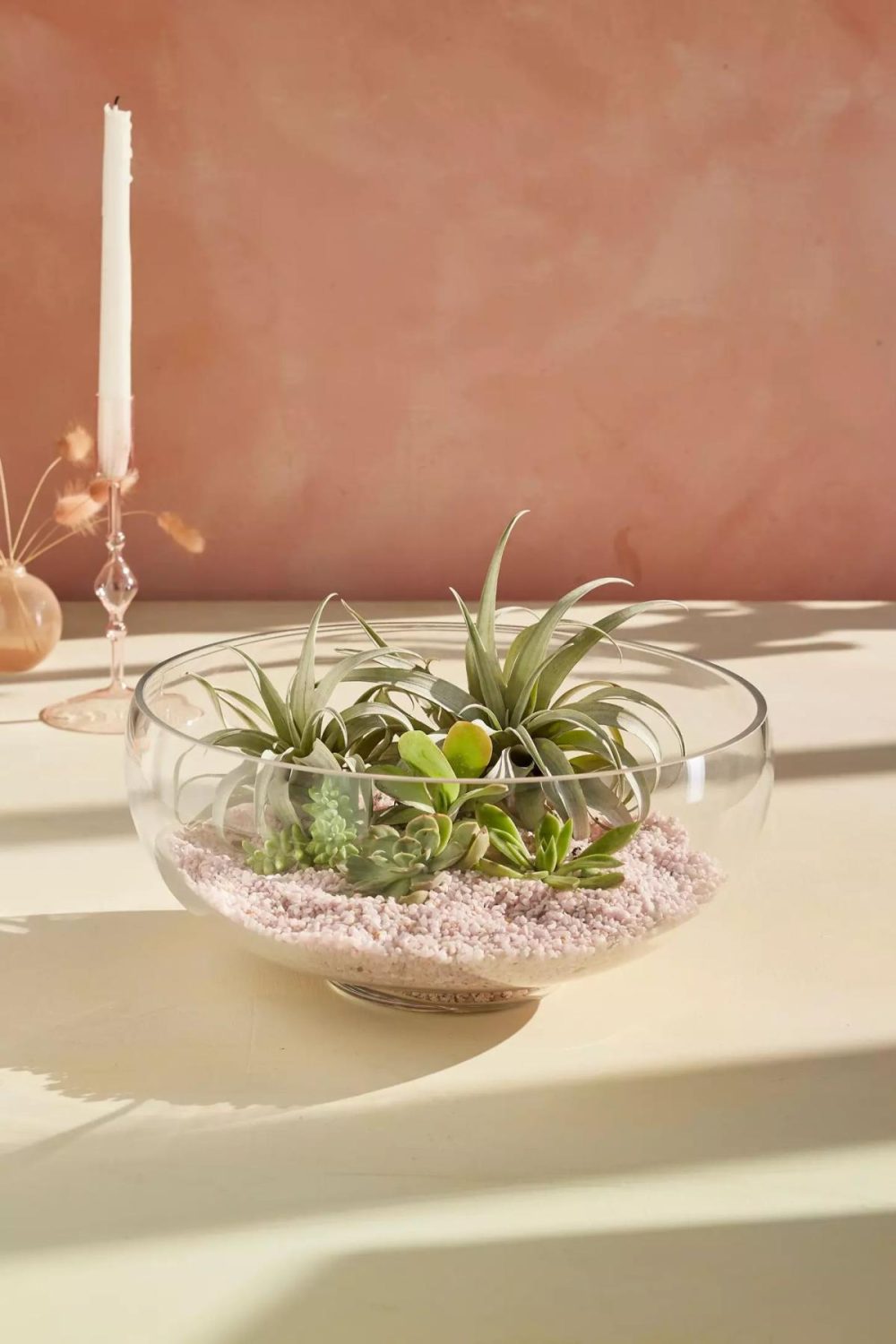 Planters | Low Rounded Bowl Terrarium Assorted Garden Assorted