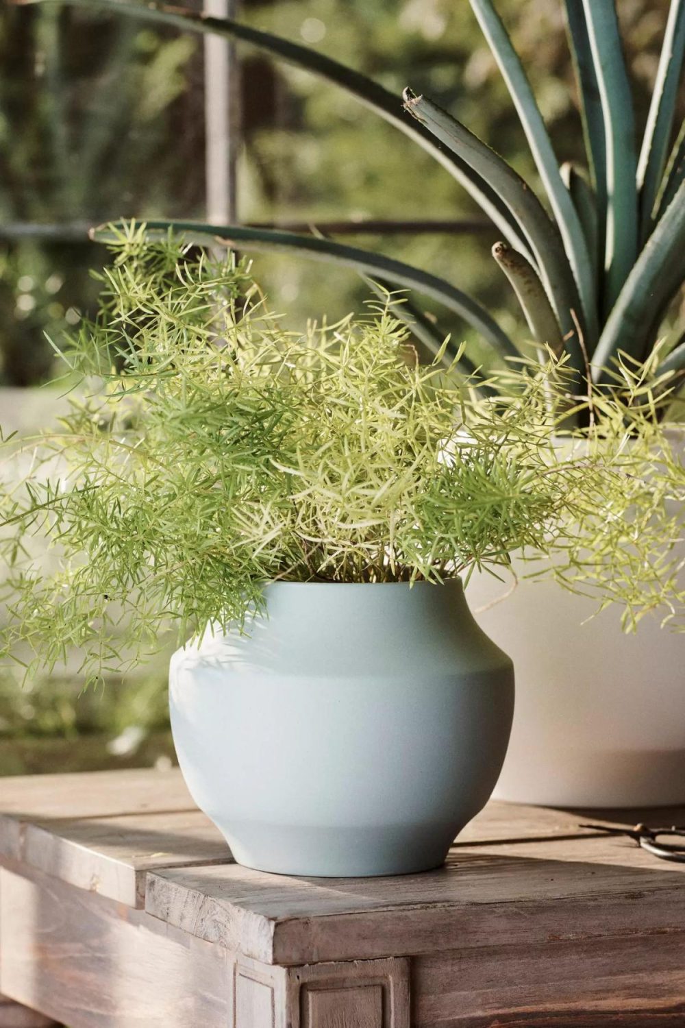 Planters | Mod Ceramic Jar Planter, 4 Light Blue Garden Light Blue