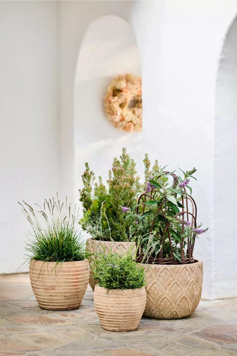 Planters | Paloma Ceramic Bowl Planter, 18 Natural Garden Natural