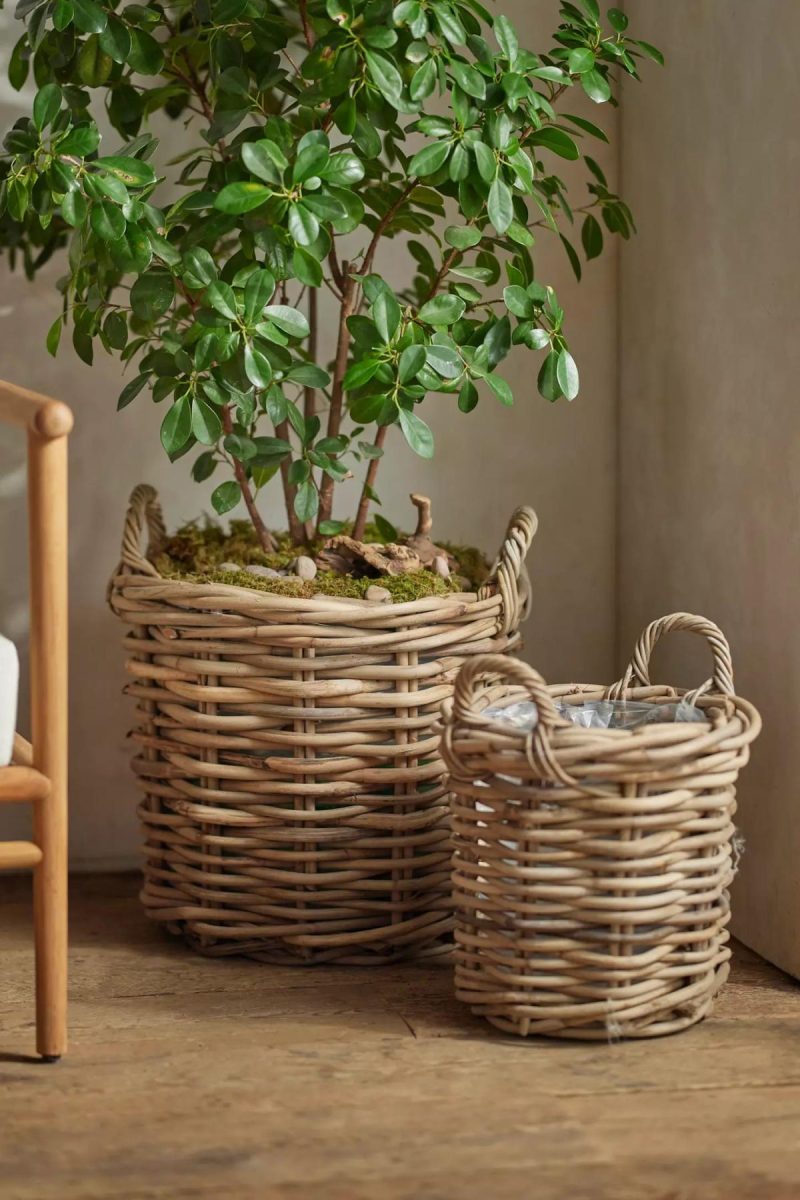 Planters | Rattan Cylinder Basket Planter Natural Garden Natural