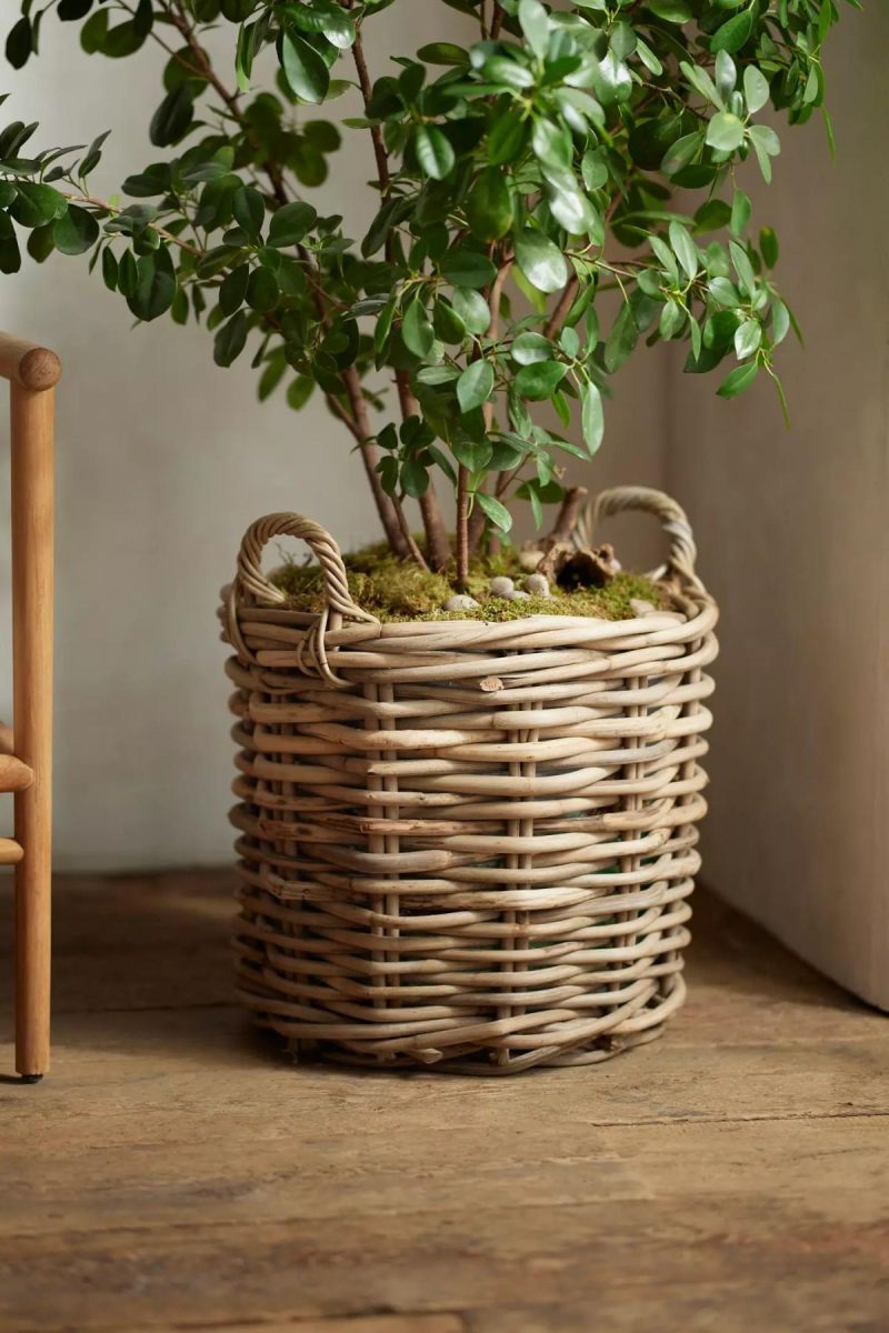 Planters | Rattan Cylinder Basket Planter Natural Garden Natural