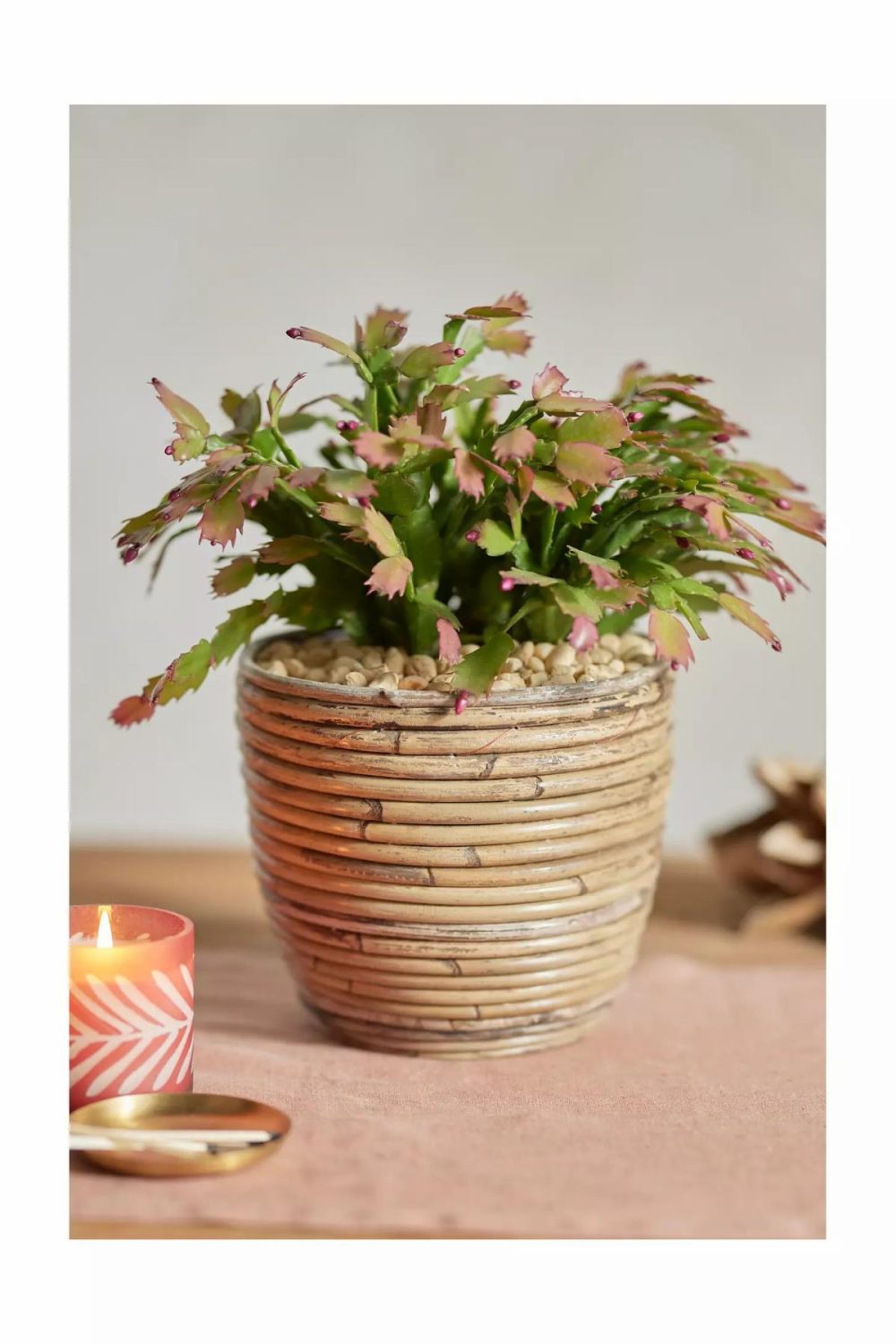 Planters | Rattan Stripe Basket Planter Natural Garden Natural