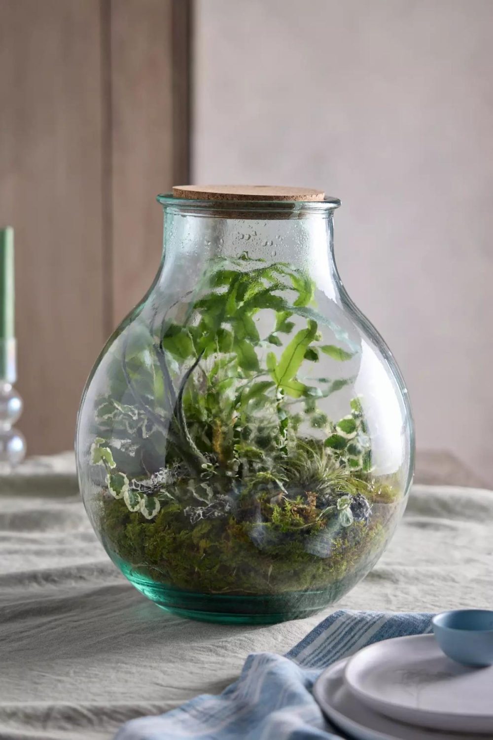 Planters | Recycled Glass Bulb Terrarium Assorted Garden Assorted