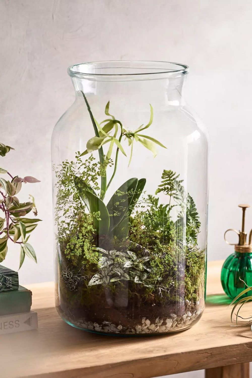 Planters | Recycled Glass Jar Terrarium Clear Garden Clear