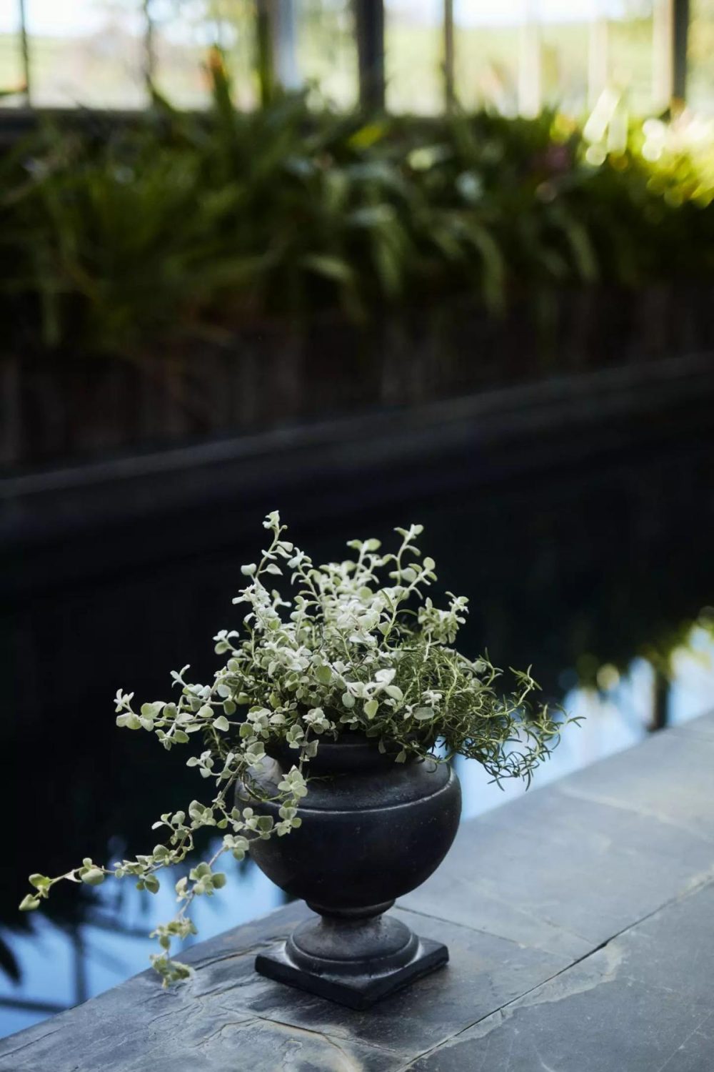 Planters | Rounded Cast Iron Urn Planter Grey Garden Grey