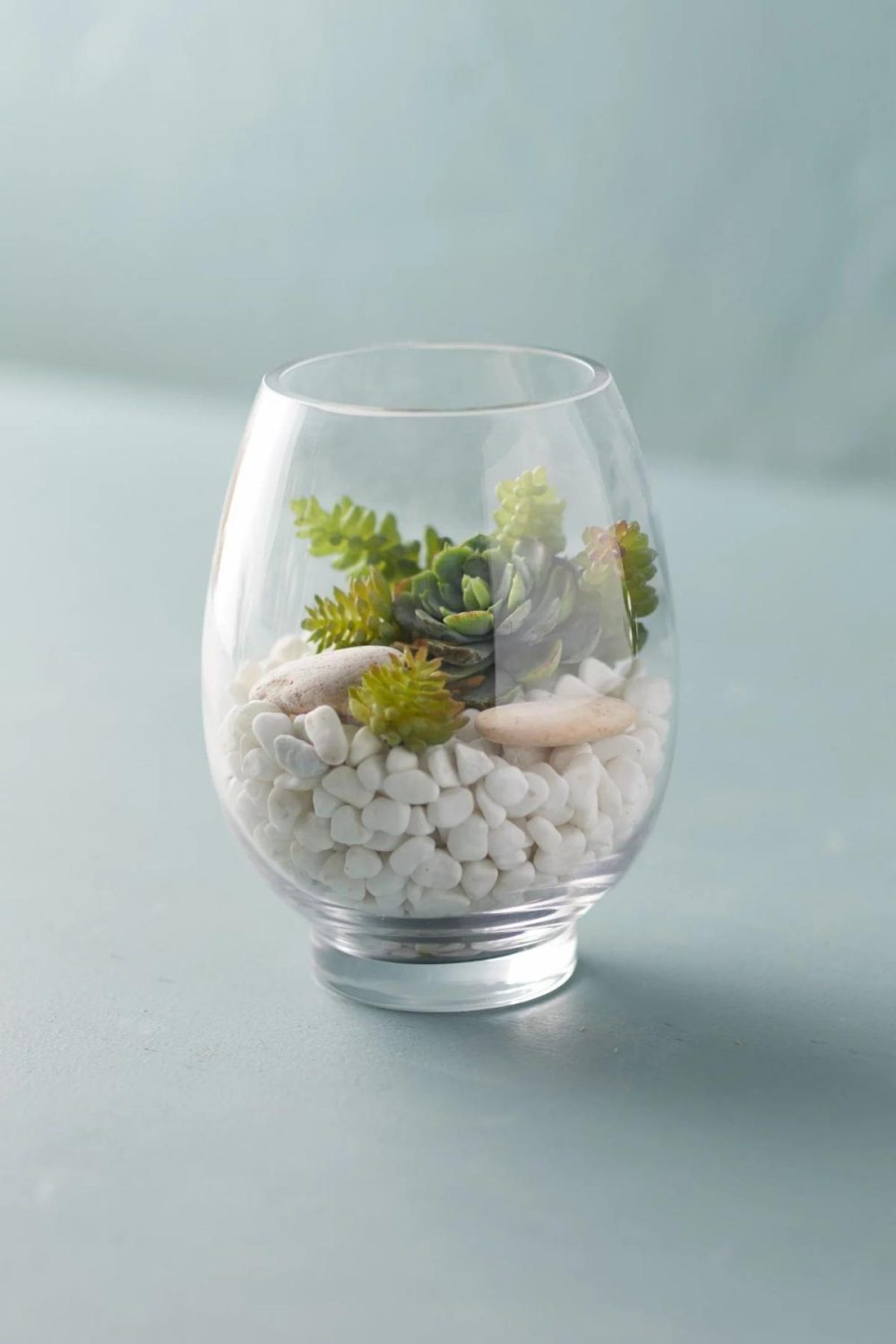 Planters | Rounded Vase Terrarium Clear Garden Clear