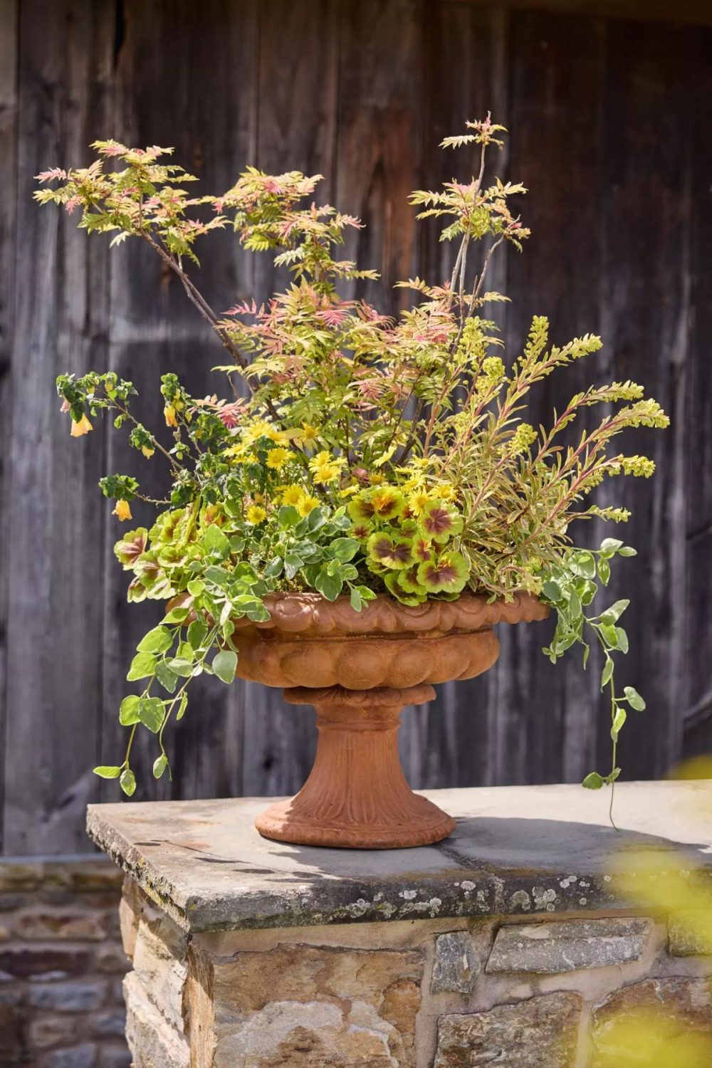 Planters | Scalloped Cast Stone Urn Brown Garden Brown