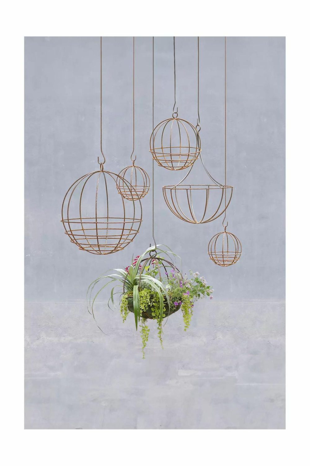 Planters | Sphere Hanging Basket, 10 Natural Garden Natural