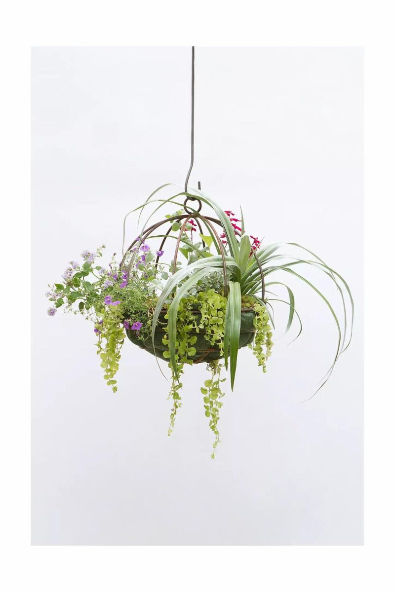 Planters | Sphere Hanging Basket, 14 Natural Garden Natural