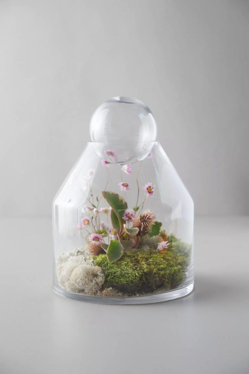 Planters | Tall Ball-Top Terrarium Clear Garden Clear