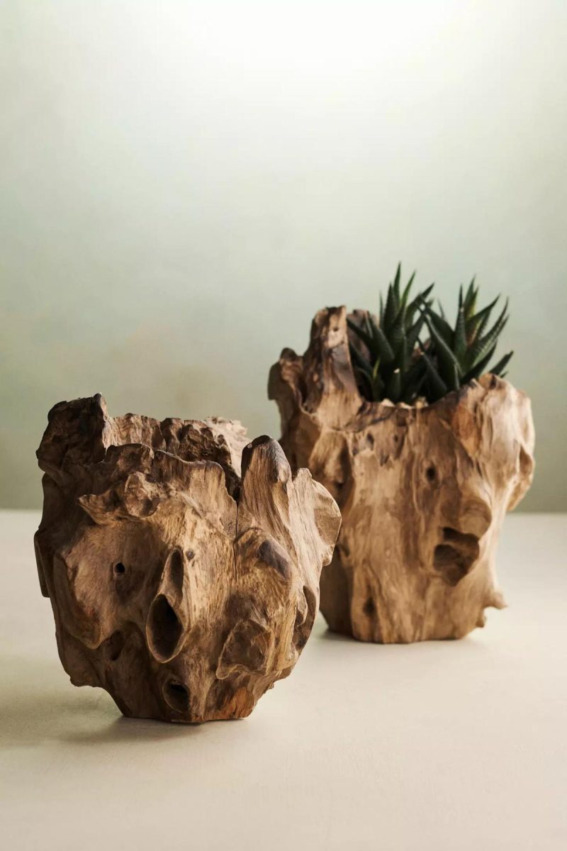 Planters | Teak Root Form Planter, 4 Natural Garden Natural