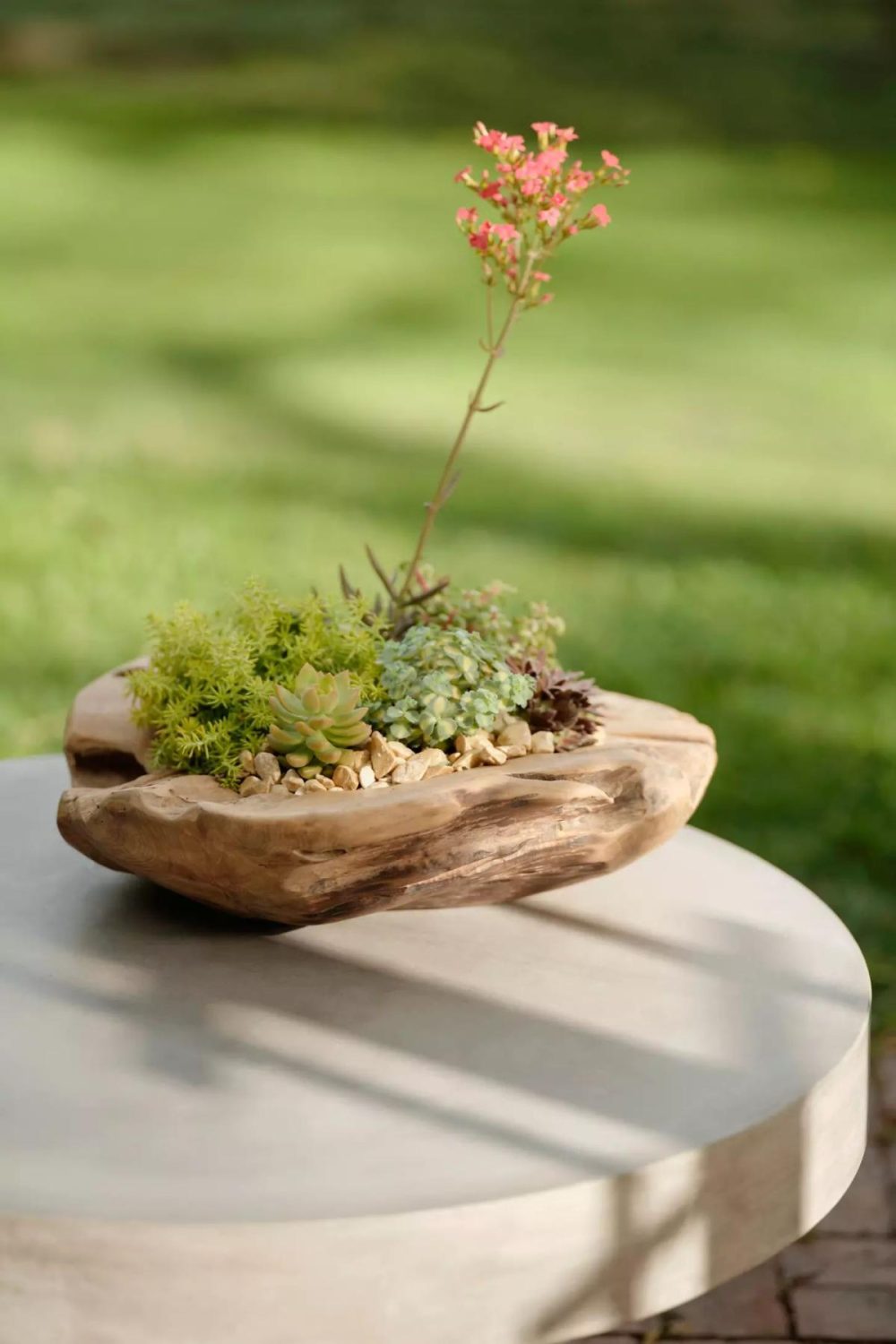 Planters | Teak Root Round Bowl Planter, 18 Natural Garden Natural