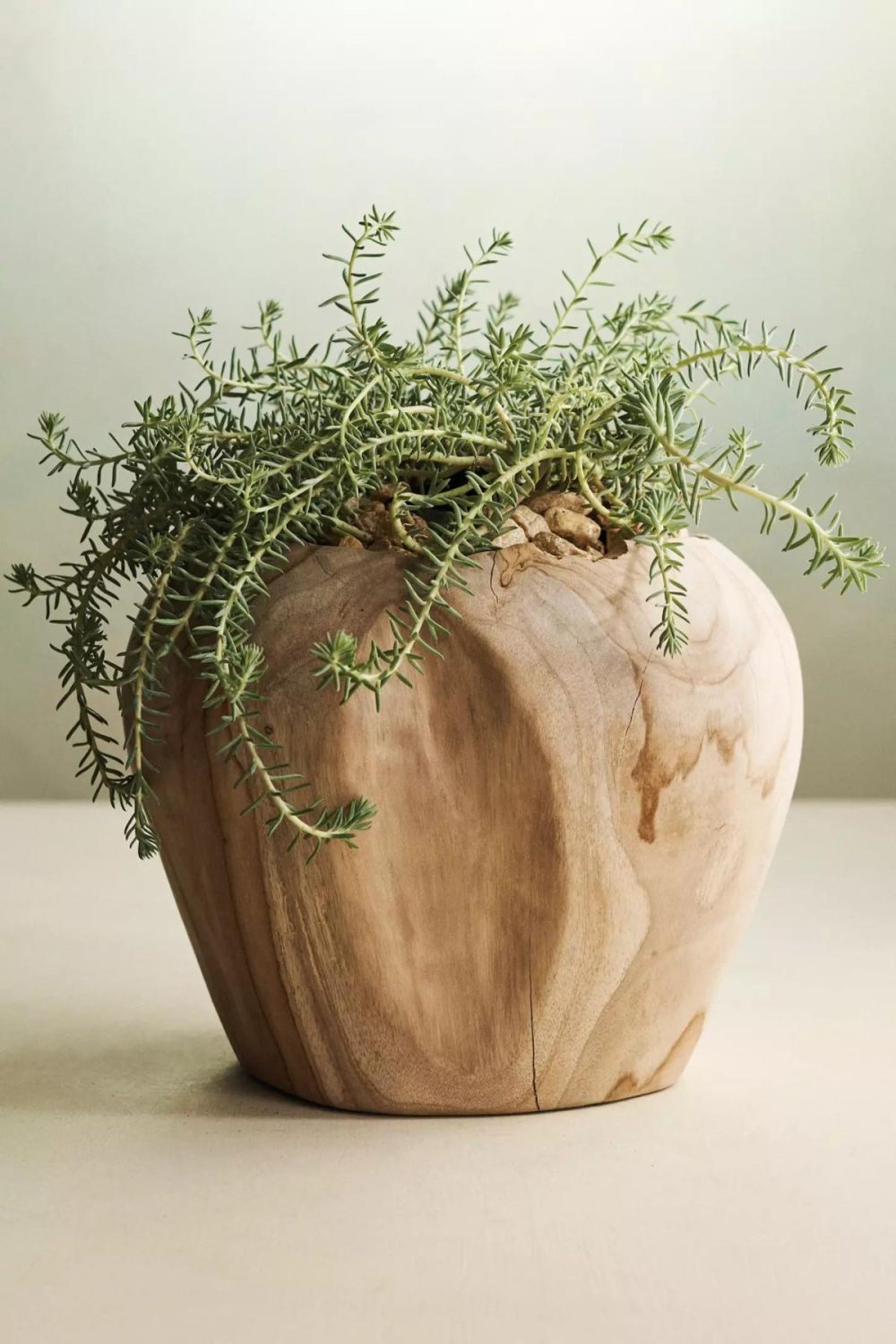 Planters | Teak Root Shoulder Planter Natural Garden Natural