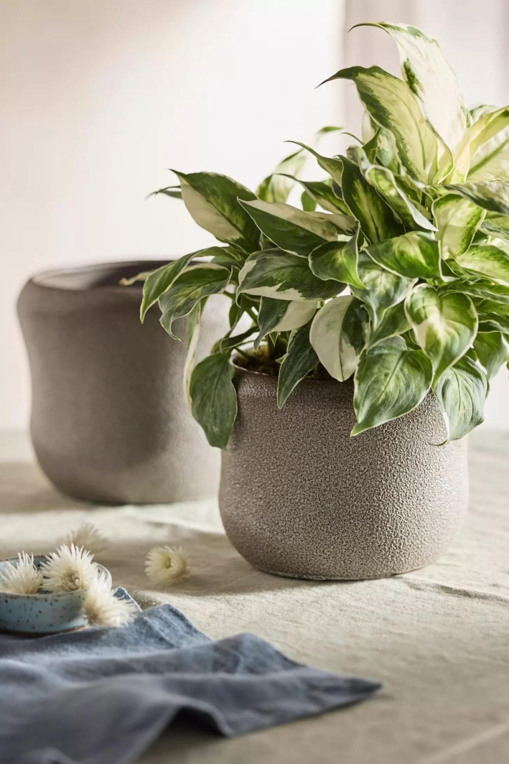 Planters | Textured Curve Ceramic Planter Grey Garden Grey