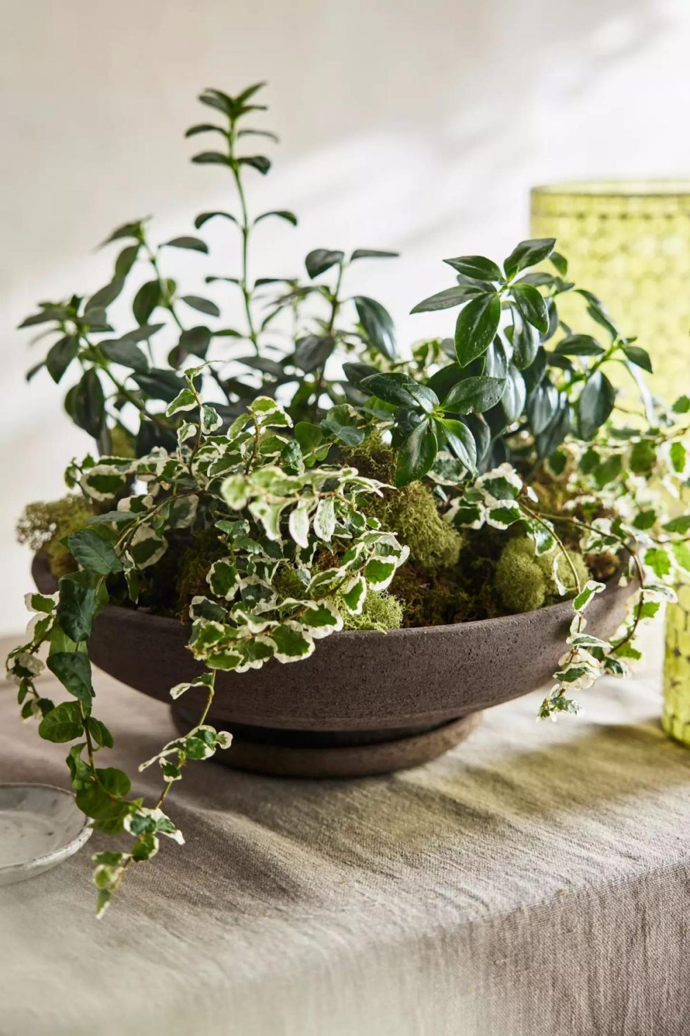 Planters | Wide Mouth Terracotta Bowl + Saucer Set Grey Garden Grey