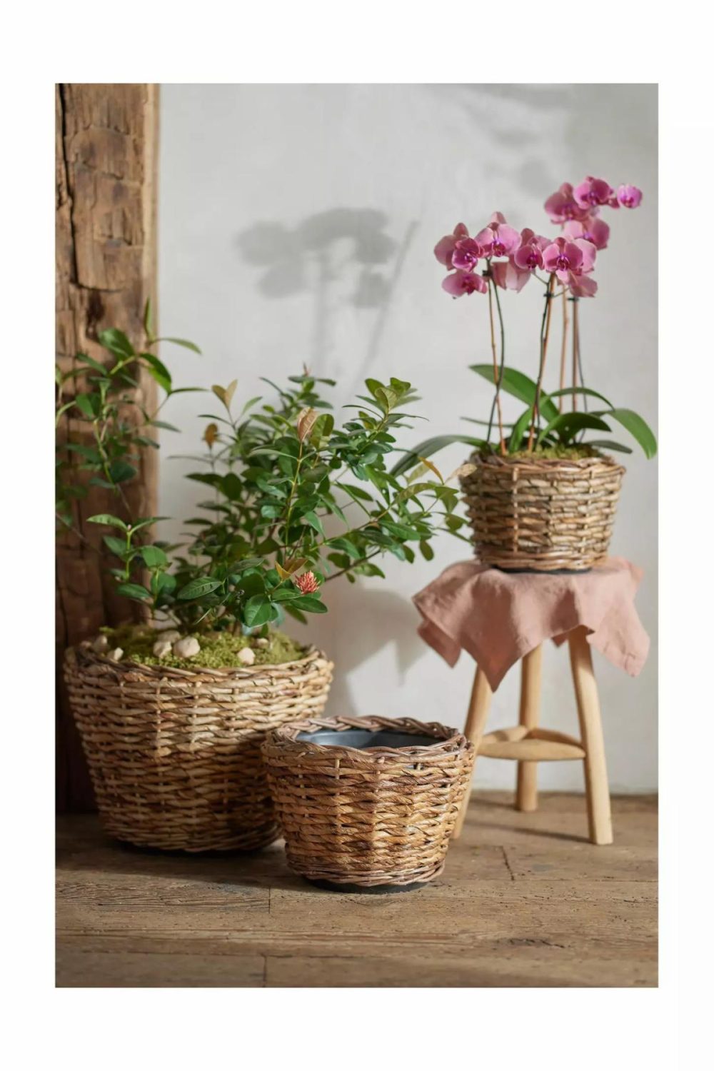 Planters | Woven Abaca Tapered Basket Planter Natural Garden Natural