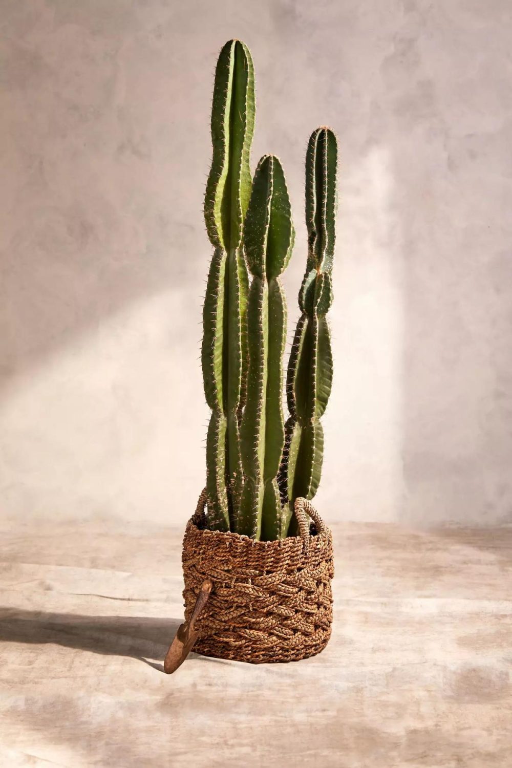 Planters | Woven Braided Handled Planter, 16 Natural Garden Natural