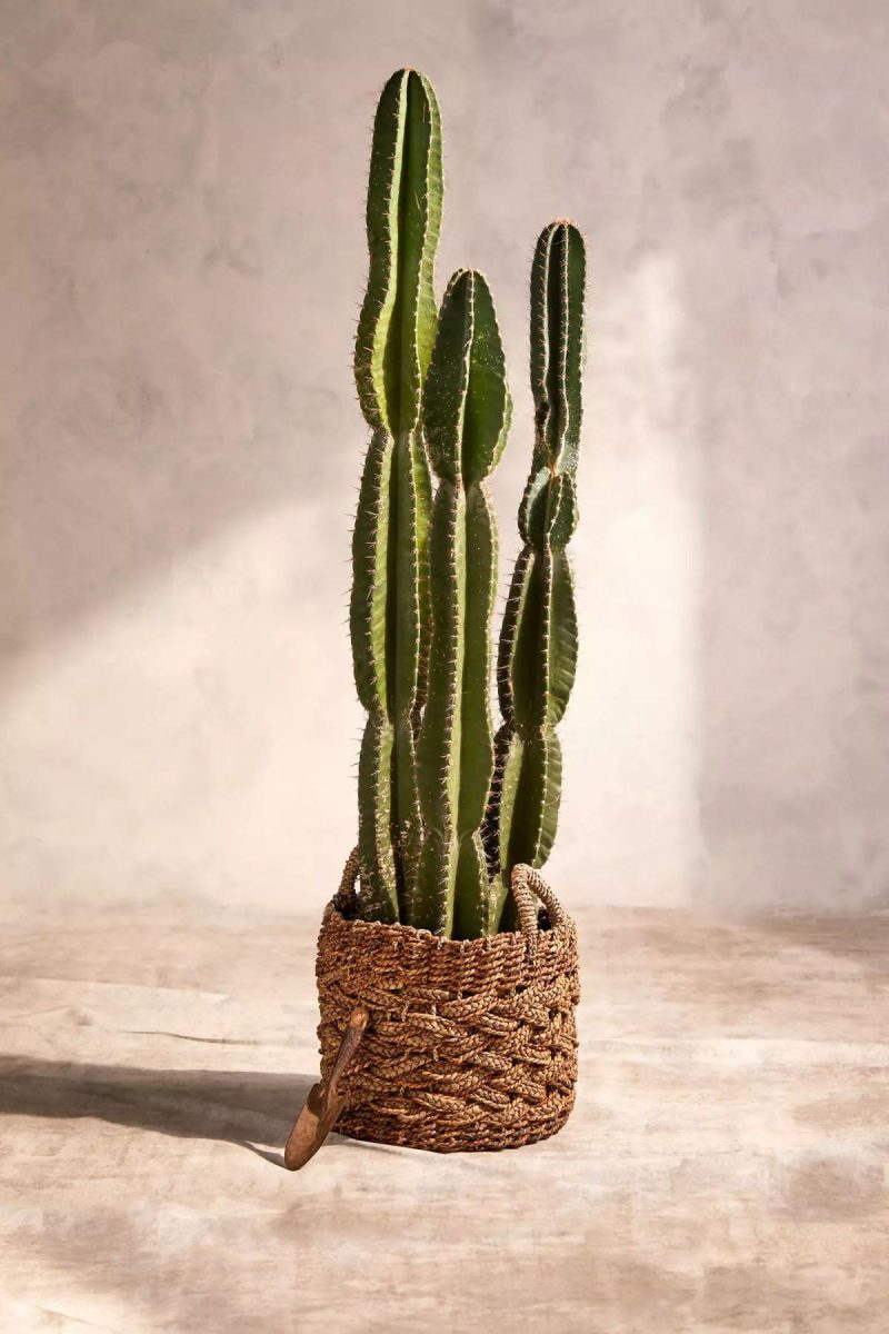 Planters | Woven Braided Handled Planter, 16 Natural Garden Natural