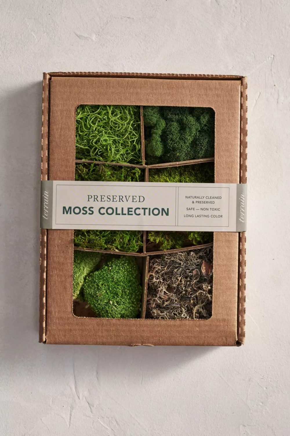 Potting Supplies | Preserved Moss Collection Assorted Garden Assorted