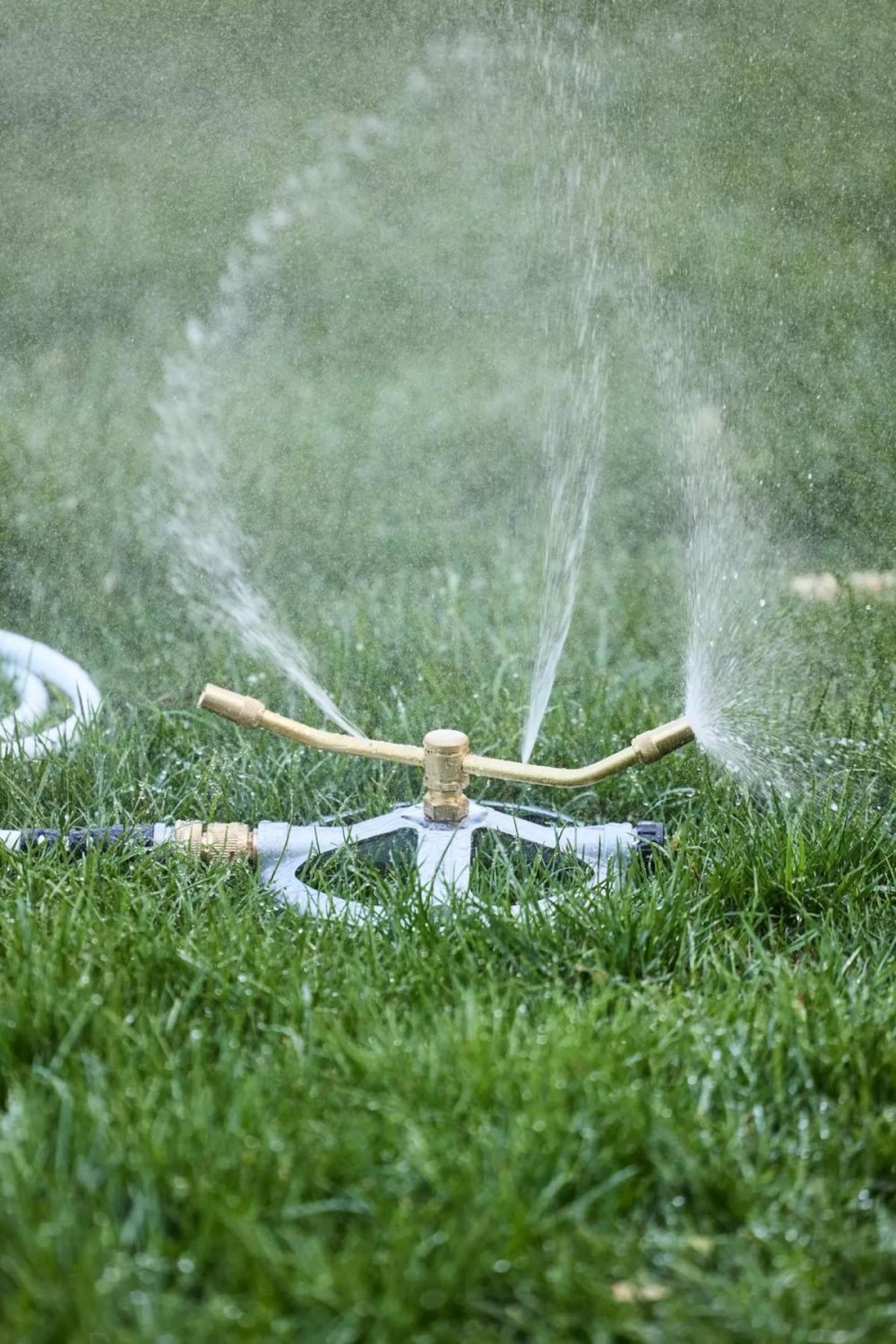 Watering Cans + Hoses | Brass Whirl Sprinkler Assorted Garden Assorted