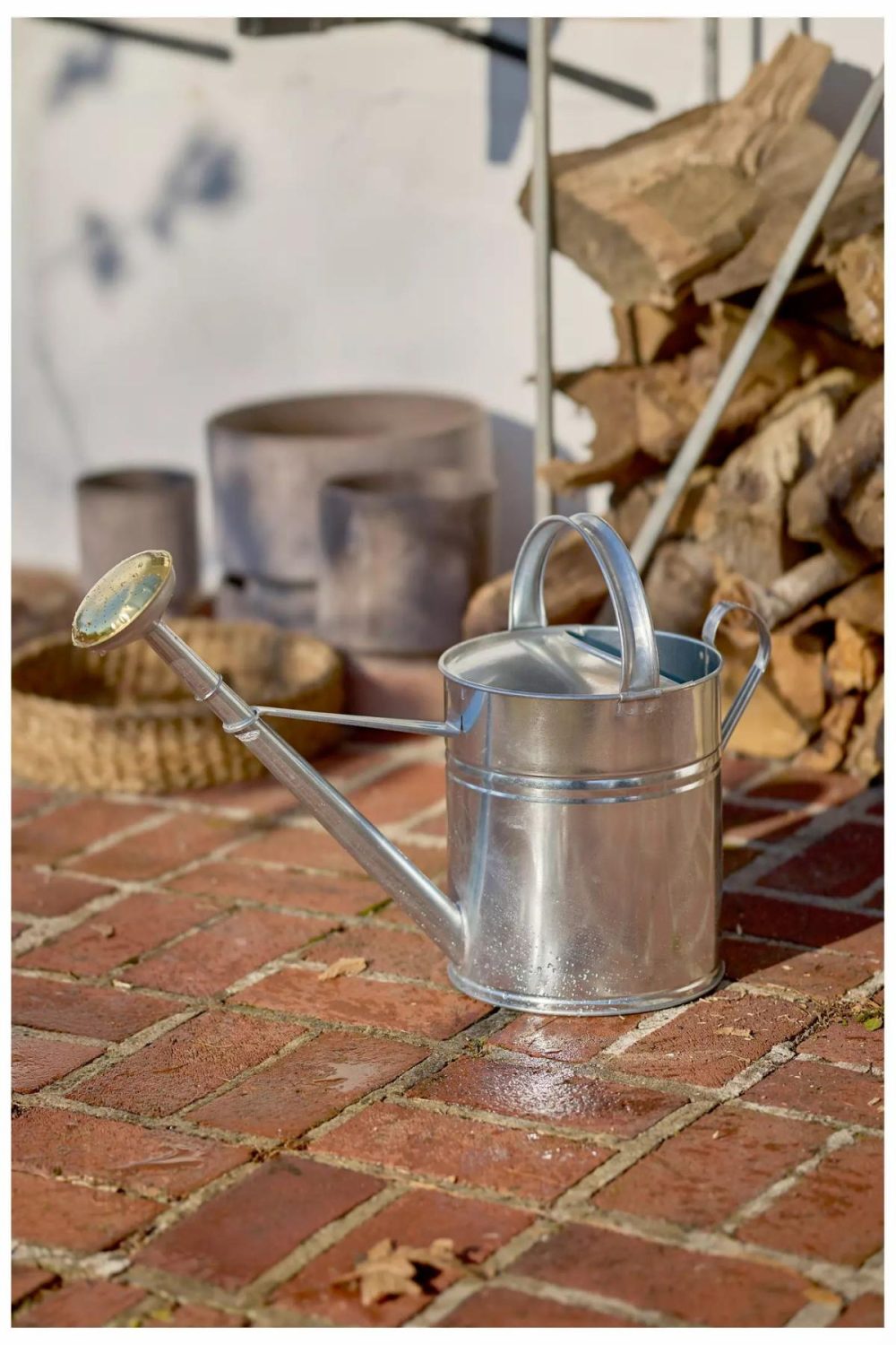 Watering Cans + Hoses | Galvanized Steel Watering Can, 10L Assorted Garden Assorted