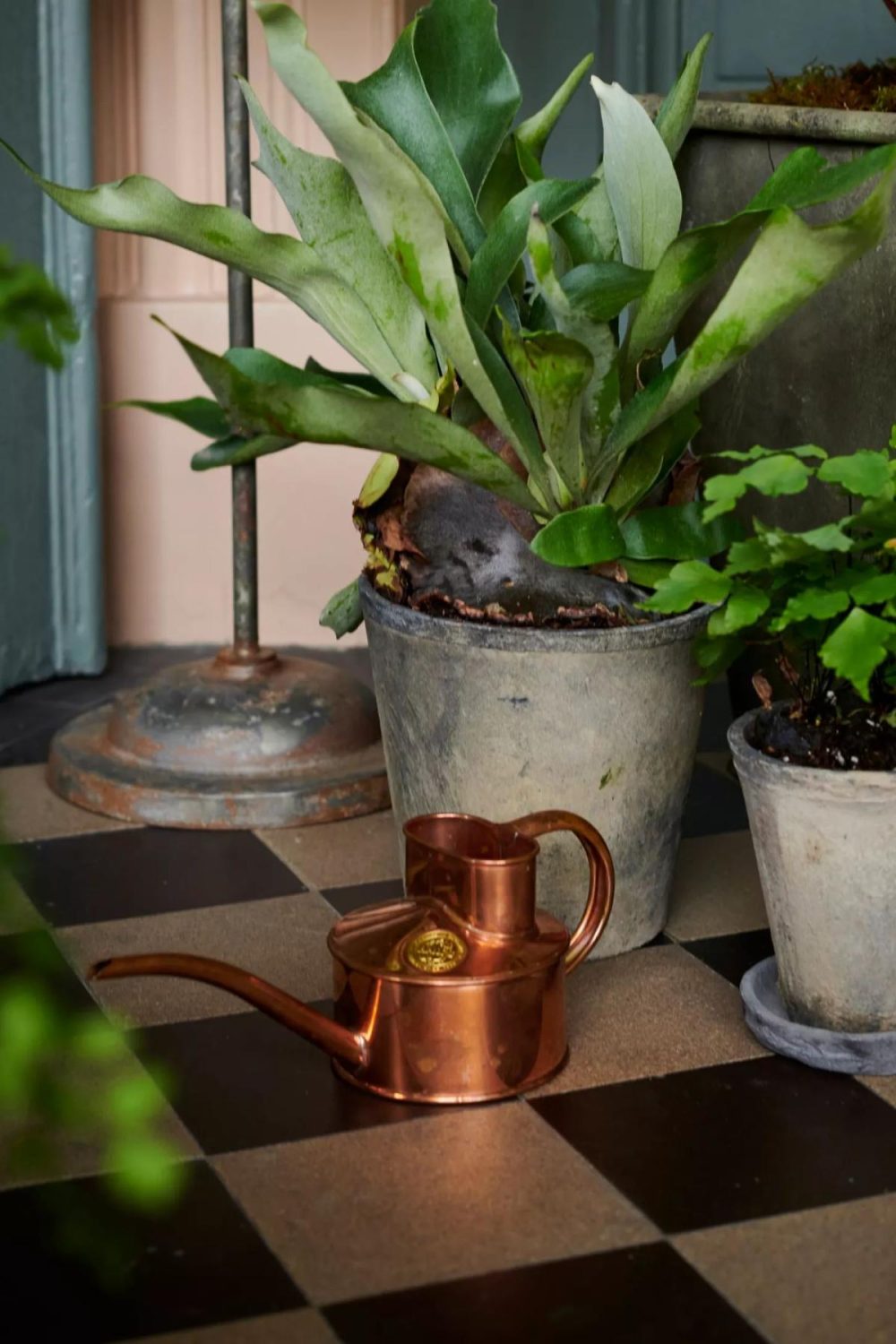 Watering Cans + Hoses | Haws Mini Watering Can Copper Garden Copper