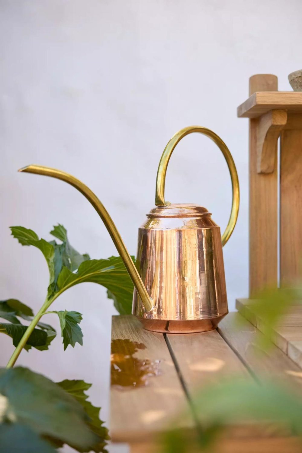 Watering Cans + Hoses | Low Copper + Brass Watering Can Assorted Garden Assorted