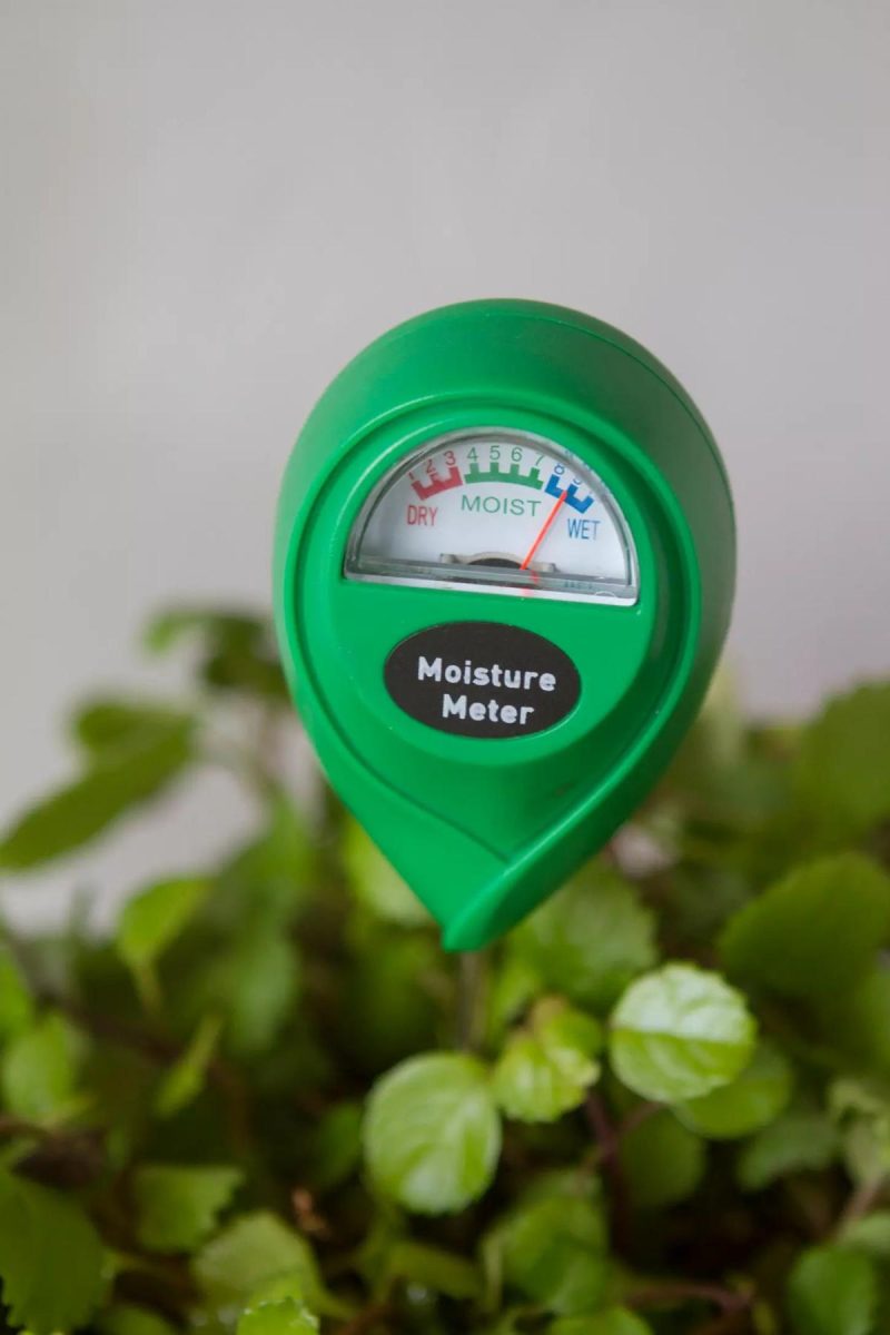 Watering Cans + Hoses | Moisture Meter Assorted Garden Assorted