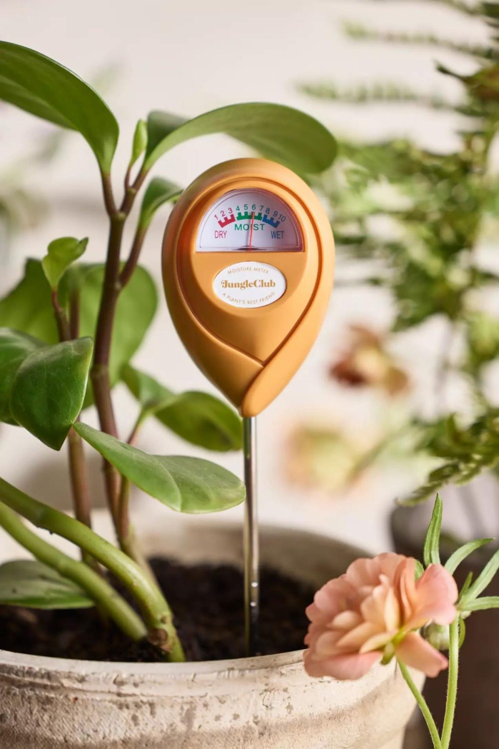 Watering Cans + Hoses | Plant Moisture Meter Assorted Garden Assorted