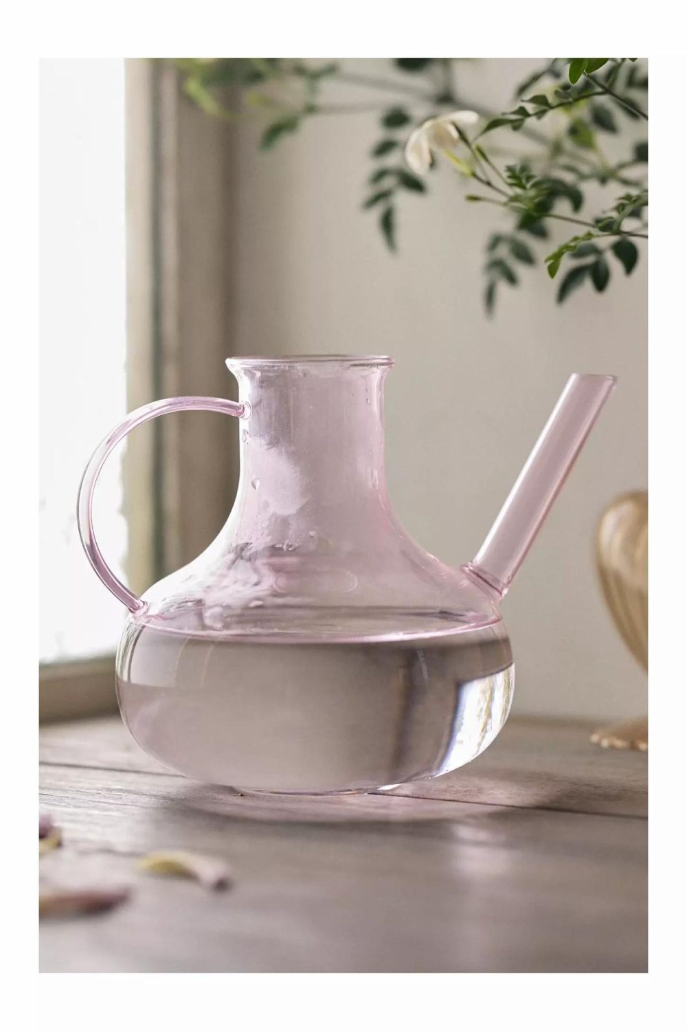 Watering Cans + Hoses | Rose Glass Watering Can Assorted Garden Assorted