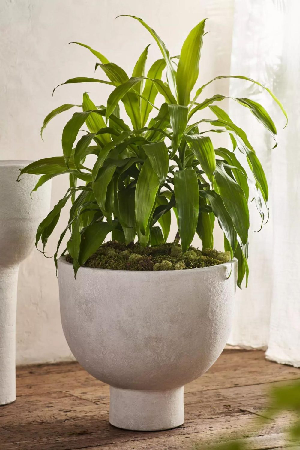 Outdoor Décor | Pedestal Egg Terracotta Planter White Garden Outdoor Décor