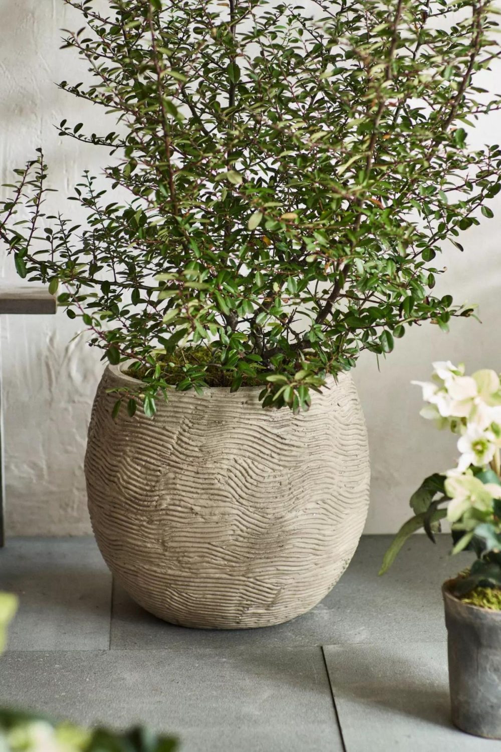 Outdoor Décor | Wavy Concrete Orb Planter Brown Garden Brown