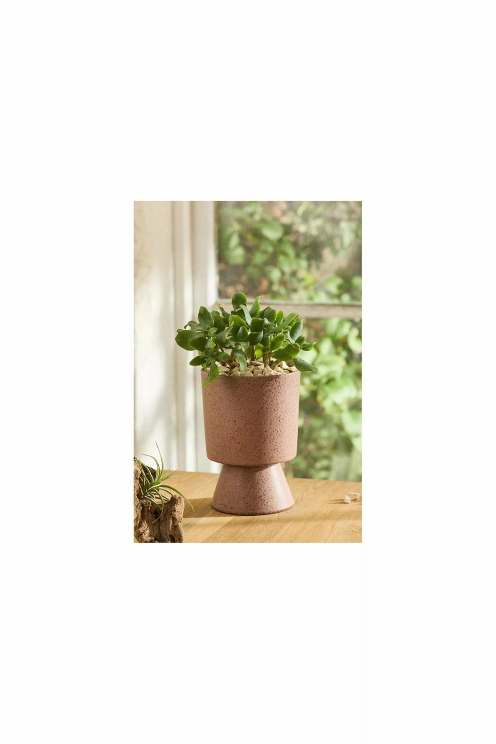 Planters | Flare Base Ceramic Pot Coral Garden Coral