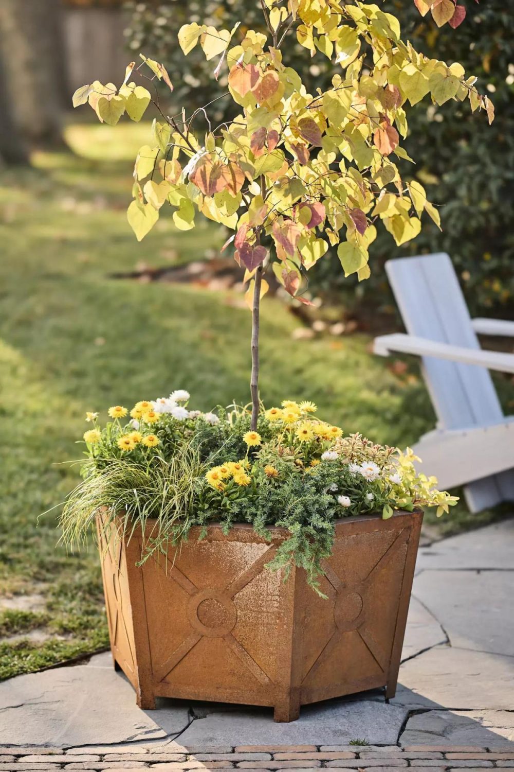 Planters | Iron Hexagon Planter Natural Garden Natural