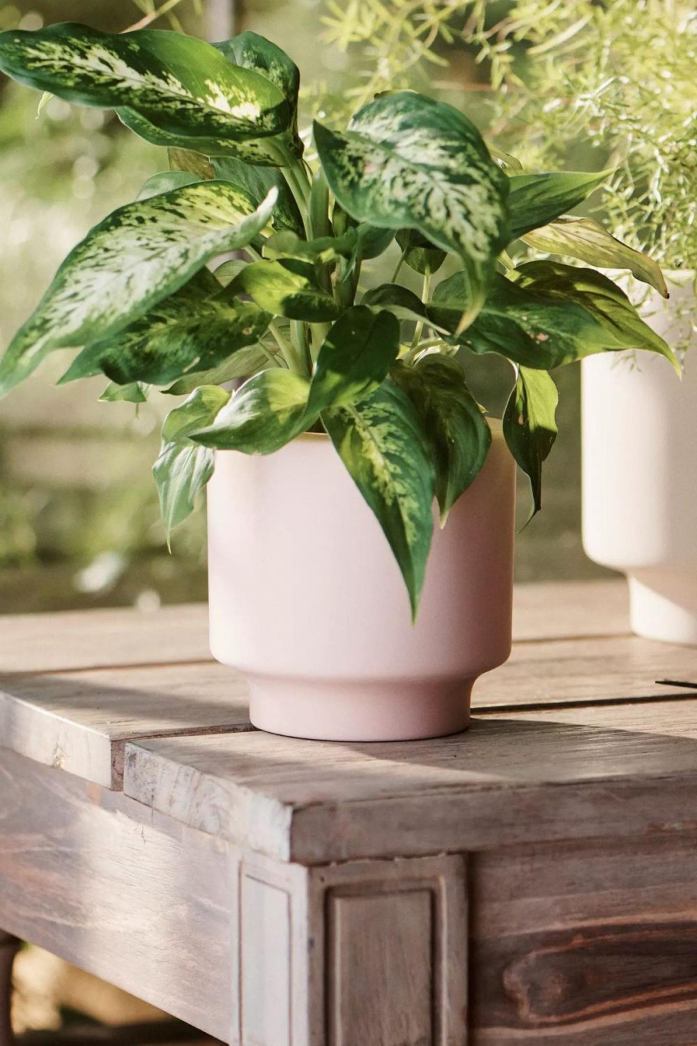 Planters | Mod Footed Ceramic Planter, 4 Light Mauve Garden Light Mauve