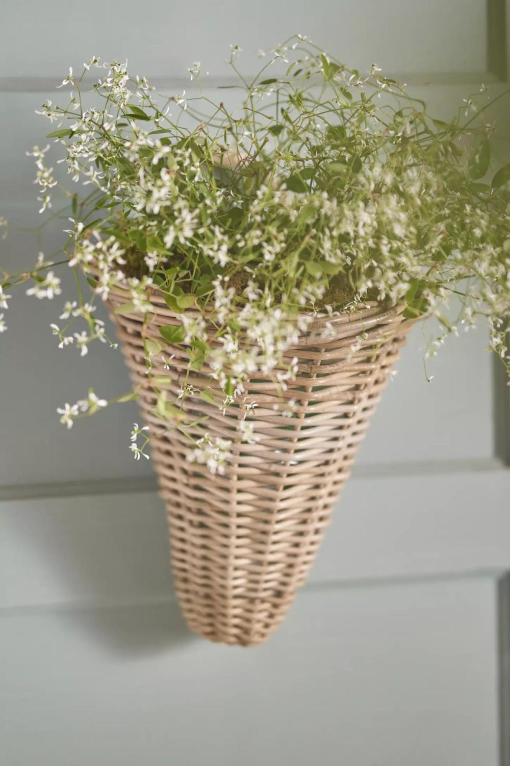 Planters | Rattan Wall Cone Planter Natural Garden Natural