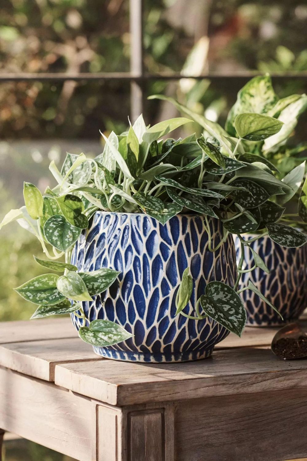 Planters | White Ridges Ceramic Planter, 6 Blue Garden Blue